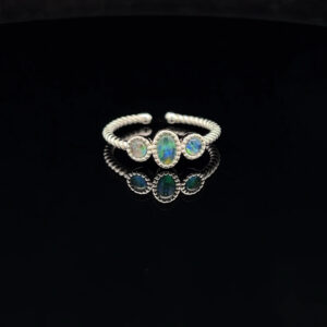 125016 hieo68zlrws 2025 05 24 11 56 03