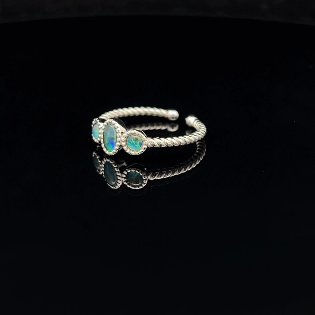 125016 rb1whi6z6ha 2025 05 24 11 56 03