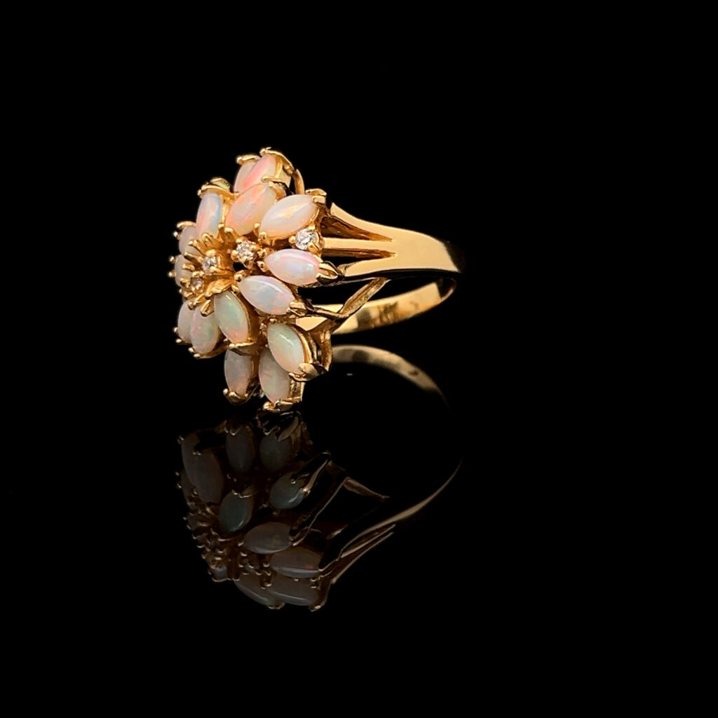 143865 banz9bz02n6 2025 09 01 12 44 23